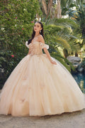 Embellished Lace Applique Tulle Ball Gown Quinceañera Princess JTJT1448J